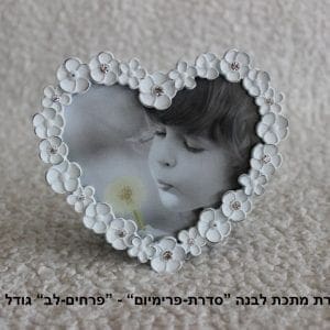 מסגרת מתכת מיני