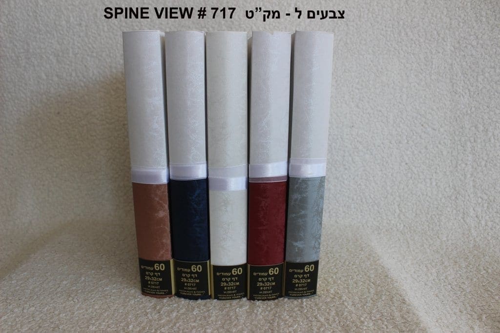 אלבום עיצוב כמו פעם – תמונה 3
