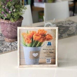 מסגרות בייסיק 30/45